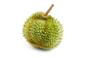 Durian is a fruit that has been referred to as the king of fruits of South East Asia. Durian on white background.