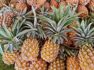 Pile of Ripe Pineapples for Sale at Market Stall