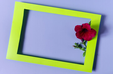 A colored frame decorated with red flowers on a light background of the copy space. Flat bright green frame and floral decor