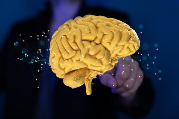 3d rendered medically accurate illustration brain