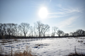 Frogtown Farms in Saint Paul Minnesota