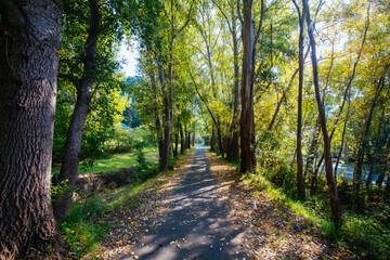 Lilydale to Warburton Rail Trail in Australia