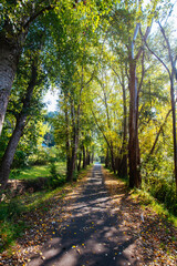 Obraz premium Lilydale to Warburton Rail Trail in Australia