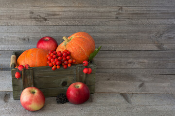 Pumpkin, apple, red berries in a box on a wooden horizontal background. Autumn composition.