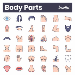 Human body parts anatomy