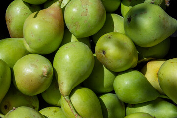 Frutas de temporada peras