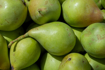 Peras, frutas de verano