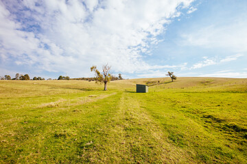 Fototapeta premium Lilydale to Warburton Rail Trail Landscape in Australia