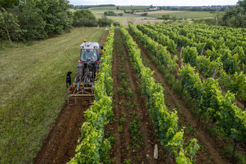 Photo aérienne d'un tracteur qui réalise le travail des sols dans les vigne.
Vue aérienne par...