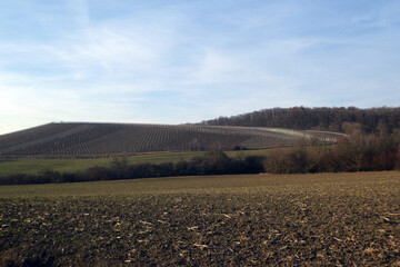 Weinberglage Oberschwarzacher Herrnberg im Herbst