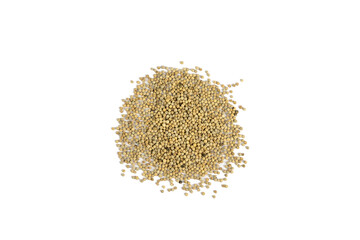 Pepper seeds isolated on a white background and clipping path.