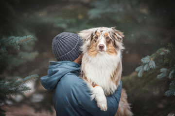 A man in a blue jacket and a gray hat holding a female marble australian shepherd in his arms while standing among thick spruce branches and falling snowflakes