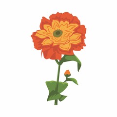 Zinnia Flower color clip art Design