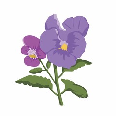 Pansy Flower color clip art Design