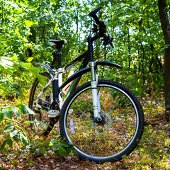 Fototapeta na wymiar Modern mountain bike on a forest path.