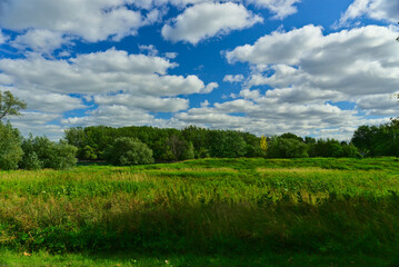 Green field in the woods of islands of Boucherville national park, Quebec, with cloudy sky and trees on a summer day