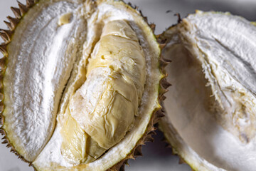 Durian Fruit
