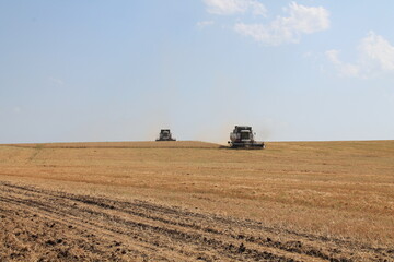 Harvesting of grain by combine harvesters