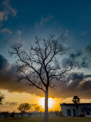 Atardecer majestuoso. 