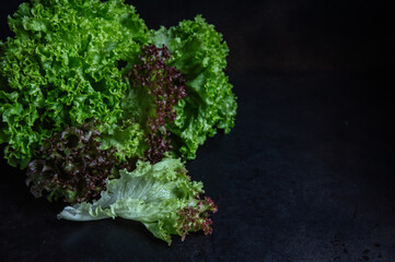 Natural greenery on a dark background.