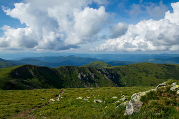 Mountain landscape. Green grass, blue mountains, flowers and needles. Montenegrin ridge in Ukraine in July. Hike in the Carpathian Mountains.