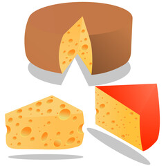 vectorized image of a composition of cheeses, cheese wedge. Pizzeria, cheese shop.