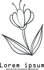 flower frames. flower frame branches logo design, Botanical frames in a trendy logo. minimal logo. Laurels frames branches logo design.