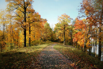 Priory park in Gatchina (Saint-Petersburg suburb) in autumn near the lake on a sunny autumn day. Sunny landscape on the pond in october. Leningrad region, Russia