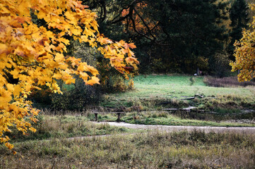 Priory park in Gatchina (Saint-Petersburg suburb) in autumn near the lake on a sunny autumn day. Sunny landscape on the pond in october. Leningrad region, Russia