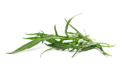 Fototapeta premium Fresh rocket or arugula green leaf isolated on white background and texture