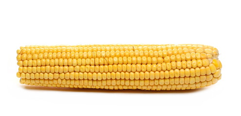 Fresh cob of corn isolated on white background