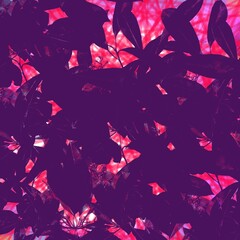 seamless purple  background 