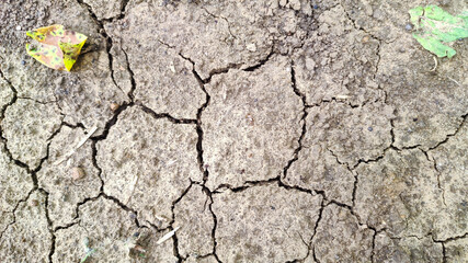 The cracked ground, the drought - background. Brown dry soil or cracked ground texture background....