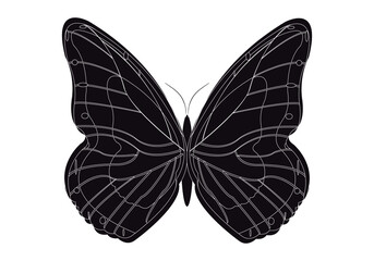 Obraz na płótnie Canvas Icono negro de mariposa en fondo blanco.