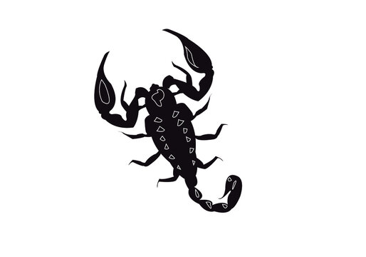 Icono negro de escorpión en fondo blanco.