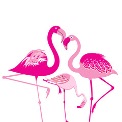 Pink vector flamingos on a white background
