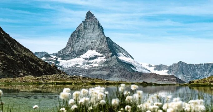 Close-up view of Matterhorn behind mountain flowers in Riffelsee Lake