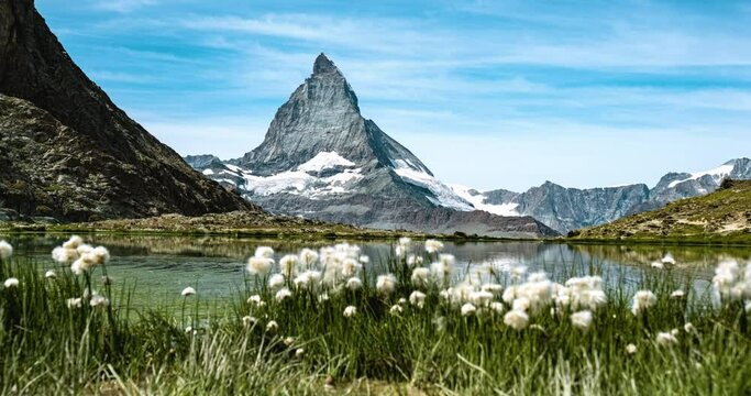 Amazing view of Matterhorn behind mountain flowers in Riffelsee Lake