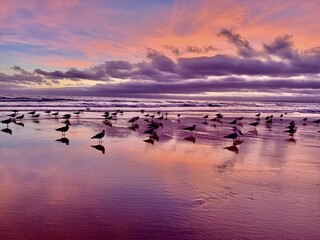 sunset on the beach