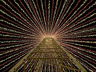 fractal burst background