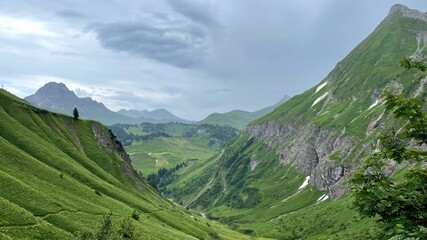 Schr&ouml;cken, Braunarlspitze, Austria