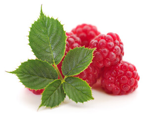 Raspberries and leaves.