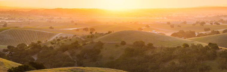 Sunrise on the vine covered hills of Wine Country