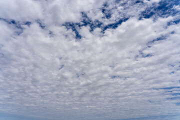 Fototapeta premium Spindrift clouds in the sky. Nature of the Ornithological Park of Pont de Gau. Camargue, France.