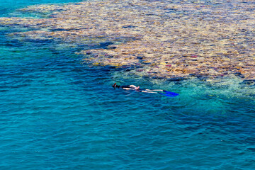 Egypt, Sharm el Sheikh - July 23, 2021. A man swims with a mask in the red sea. Tiran island Jackson reef.