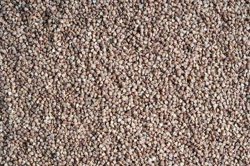 Background or backdrop made of brown buckwheat seeds texture used in culinary as porridge, flour for noodles and pancakes, as sourse of protein, dietary fiber and vitamins. Horizontal, copy space