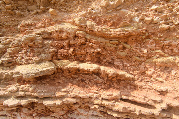 Geological section of a limestone and red clay cliff in Crimea. 
