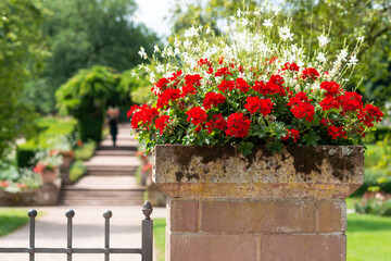 emotional emotionen ferne schön melancholisch entspannen zukunft