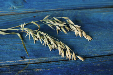 oats on blue trees board