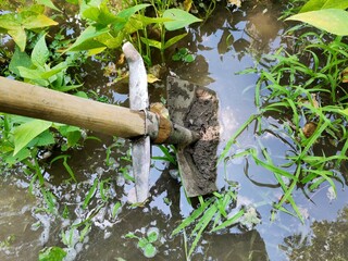 Working with a shovel in the vegetable garden.